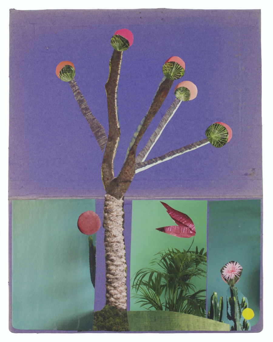 Portugese Gardening 2017